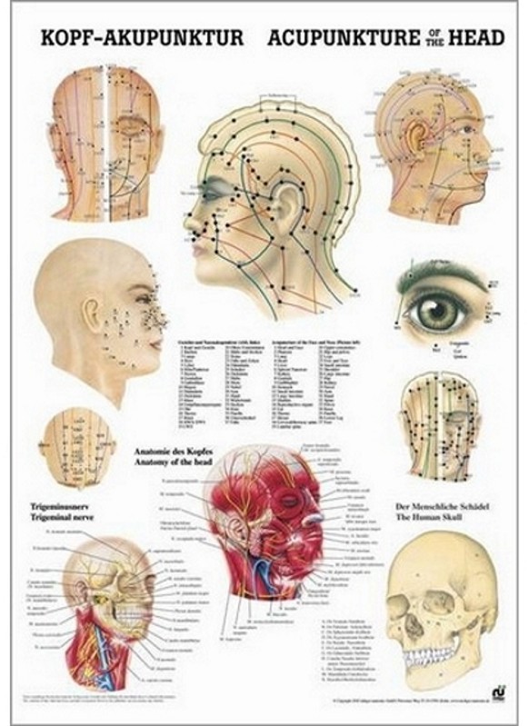 Poster agopunti della testa 50 x 70