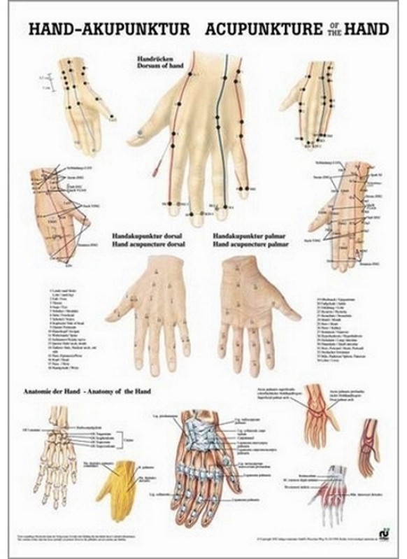 Poster agopunti della mano 50 x 70