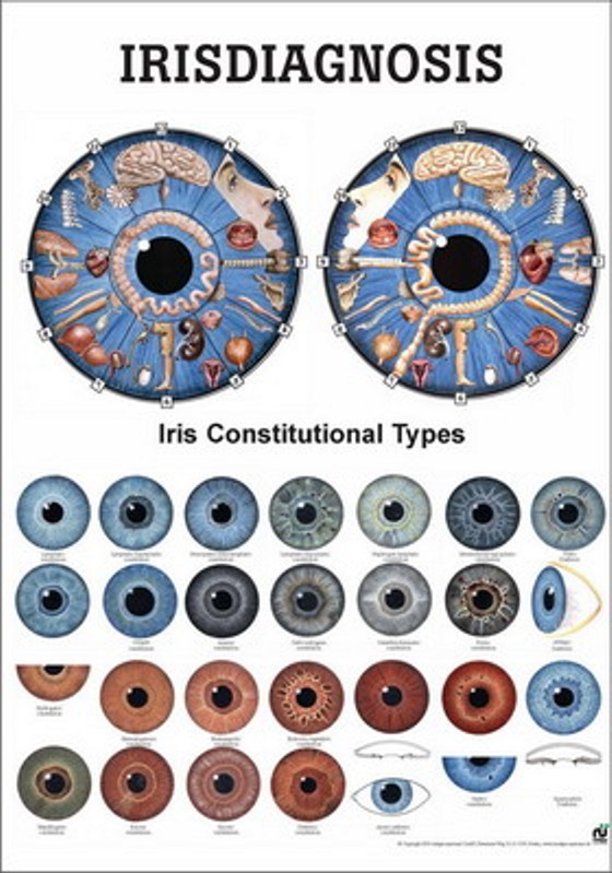 Mappa dell'orecchio 50x70