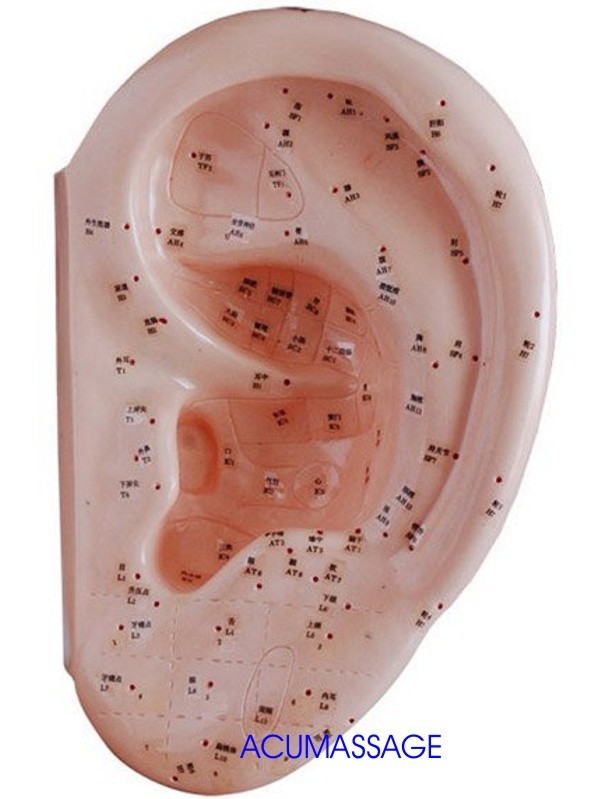 Riflessologia del piede