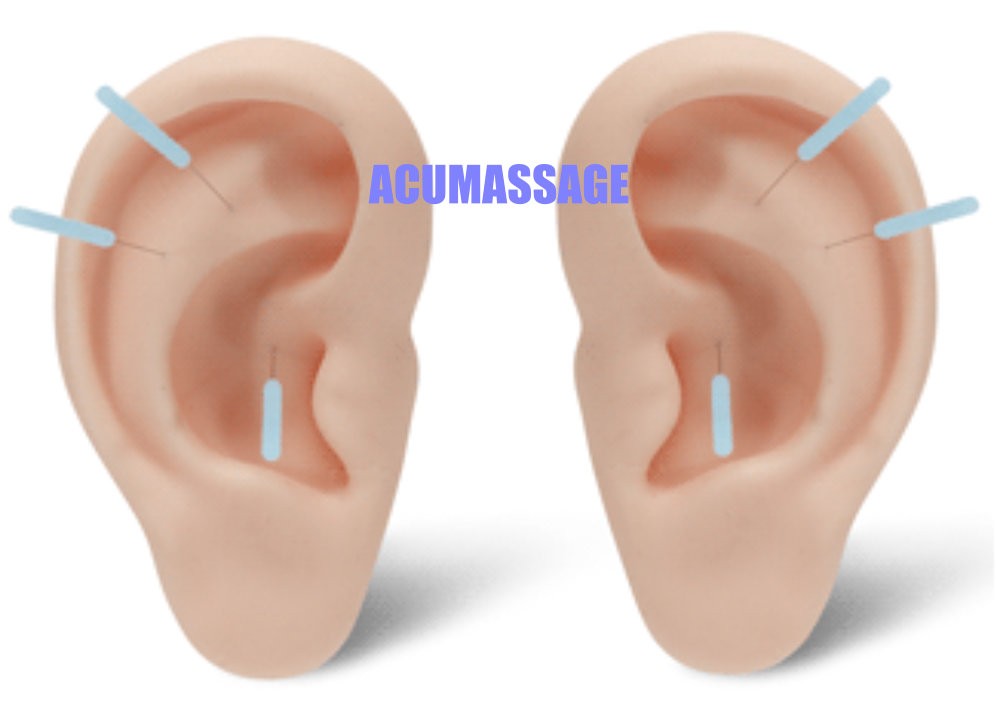 coppia di orecchie misura reale