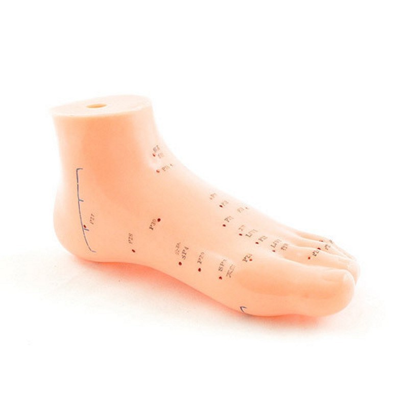 Modello orecchio 14 cm