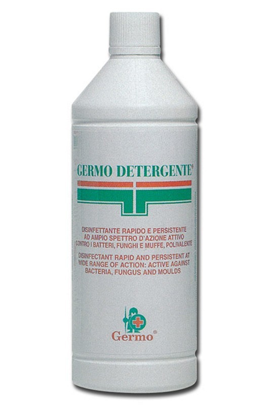 DISINFETTANTE AMBIENTALE 1 L.