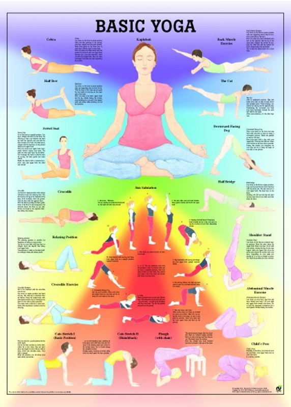 Interazione tra denti e organi
