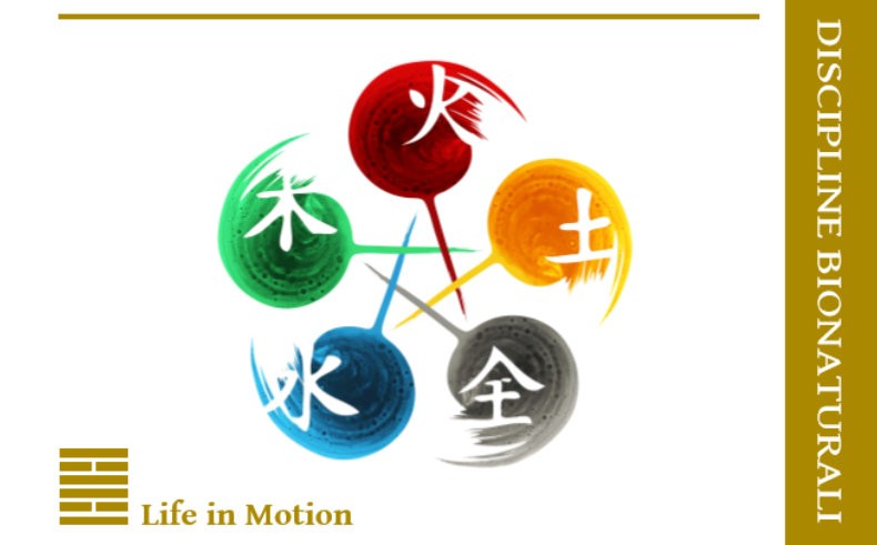 Biglietto da visita DBN