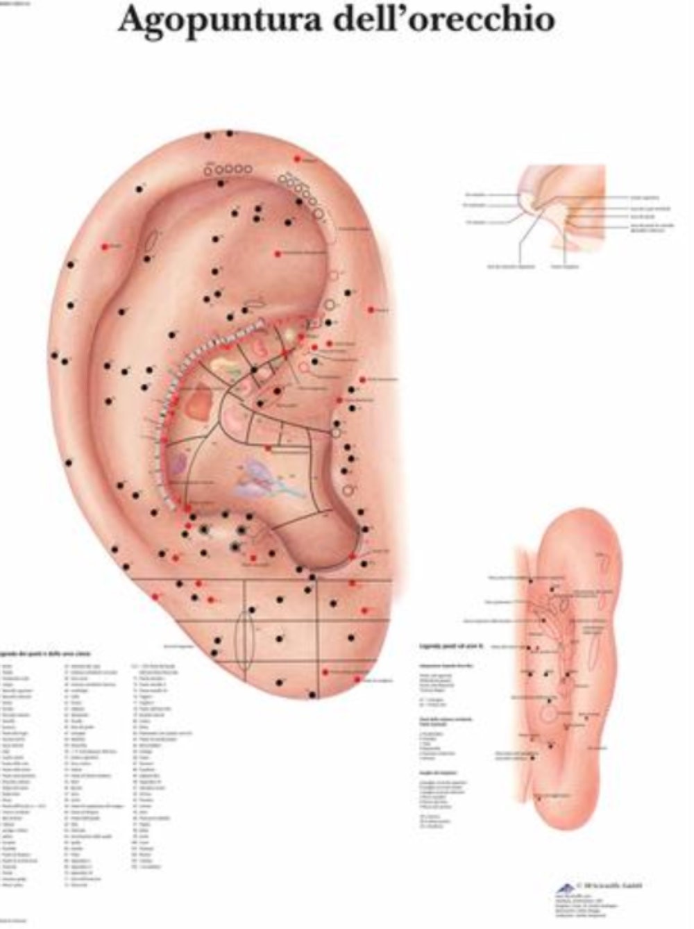 Poster agopunti della testa 50 x 70