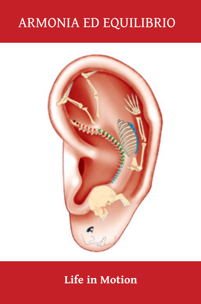 Biglietto da visita Moxa