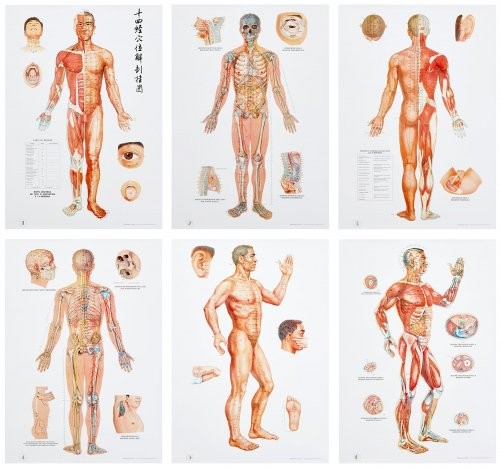 L'Agopuntura in Tavole