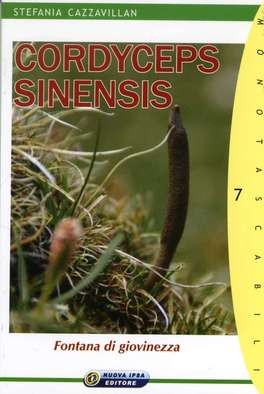 Cordyceps Sinensis - Fontana di giovinezza
